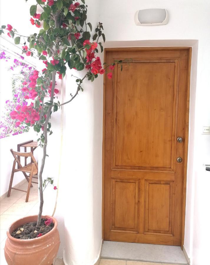 Apartmán Casa Athena Naxos Naxos City Exteriér fotografie